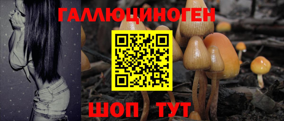 Псилоцибиновые грибы MAGIC MUSHROOMS  купить наркоту  Егорьевск  Вход с VPN  Галлюциногенные грибы ЛСД 